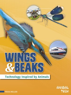 cover image of Wings & Beaks